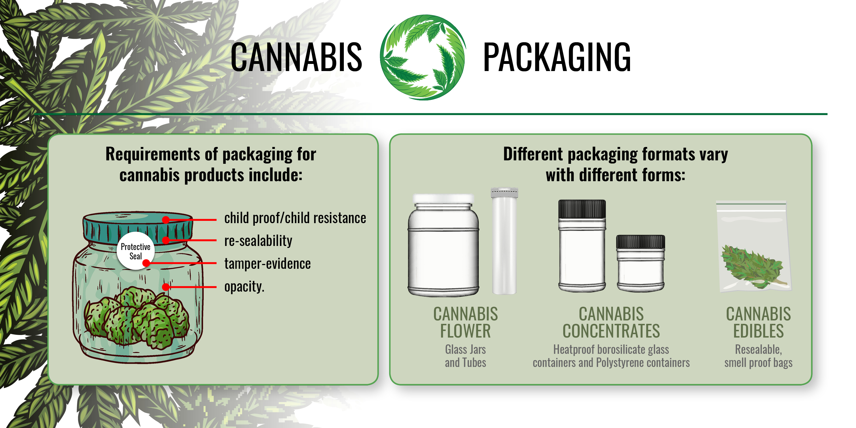 Cannabis Packaging Infographic